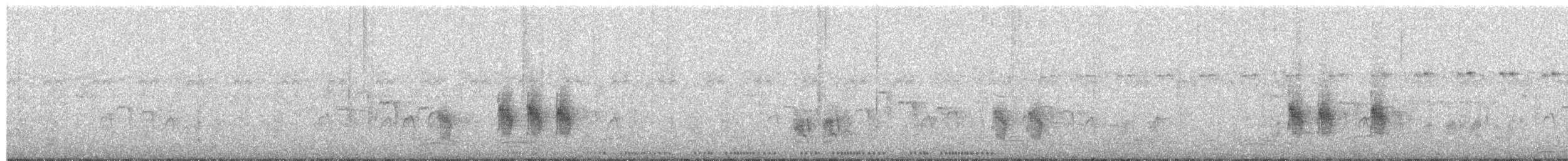 Red Collared-Dove - ML652824837