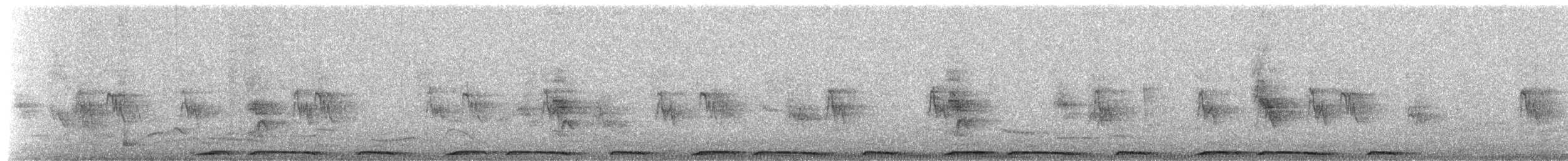 Eurasian Collared-Dove - ML652824887