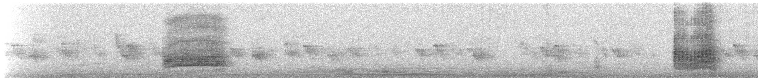 Iberian Magpie - ML652824928