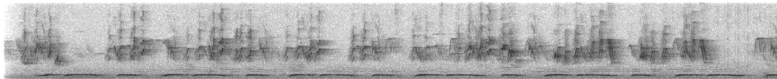 Eurasian Collared-Dove - ML652824955