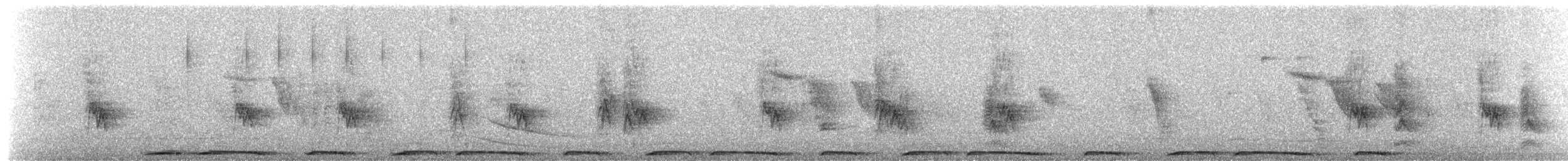 Eurasian Collared-Dove - ML652824956