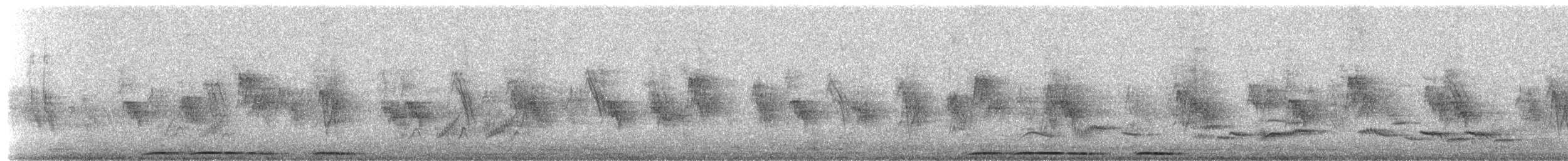 Eurasian Collared-Dove - ML652824958