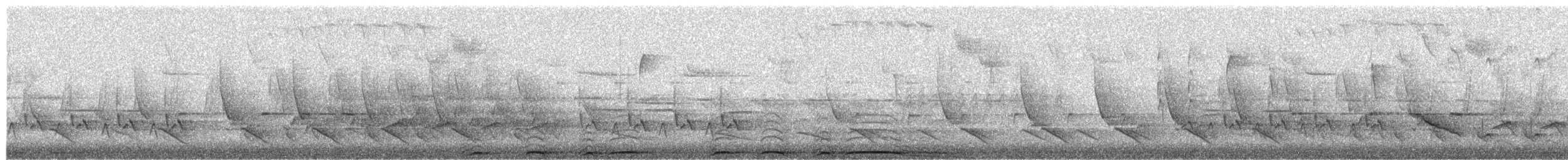 Barred Owl - ML652827890