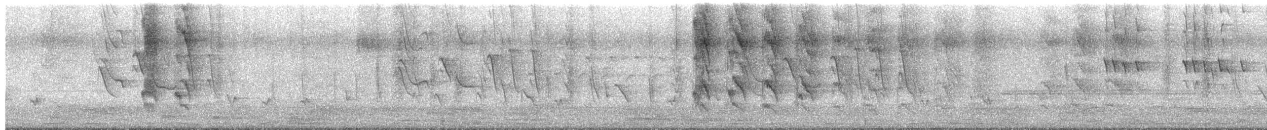 Rose-ringed Parakeet - ML652828066