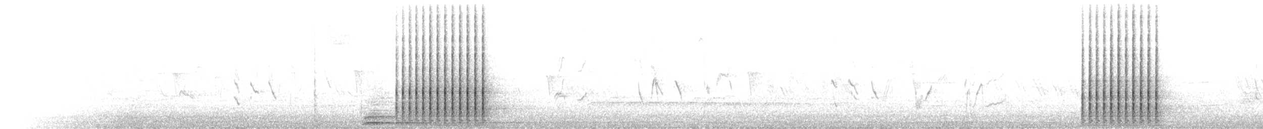 Downy Woodpecker - ML652828678