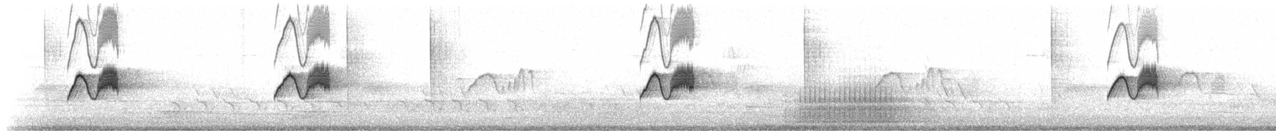 פיבי מזרחית - ML652828689