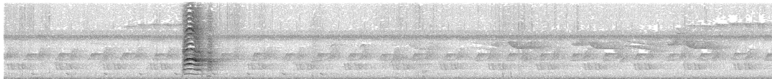 Борнейский павлиний фазан - ML652829934