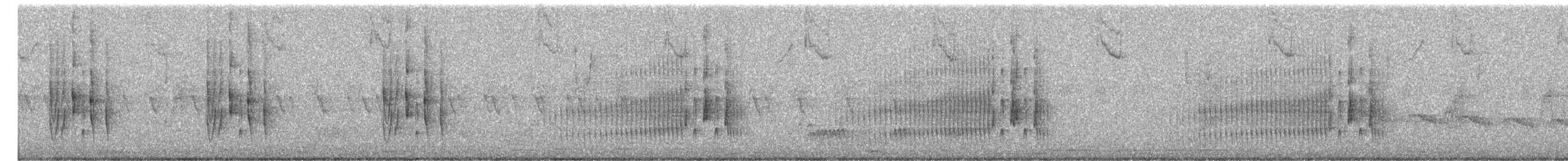 blekpygmétyrann - ML652833245