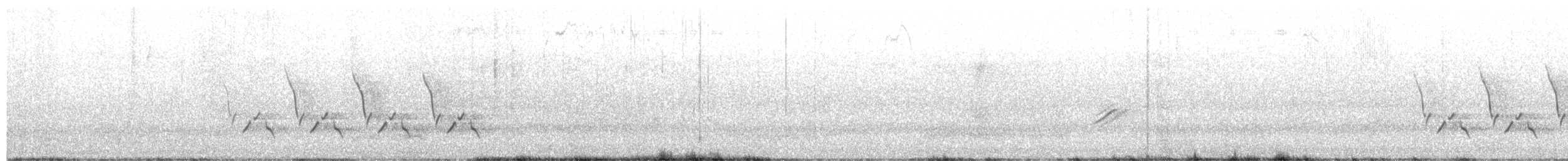 Carolina Wren - ML652844906