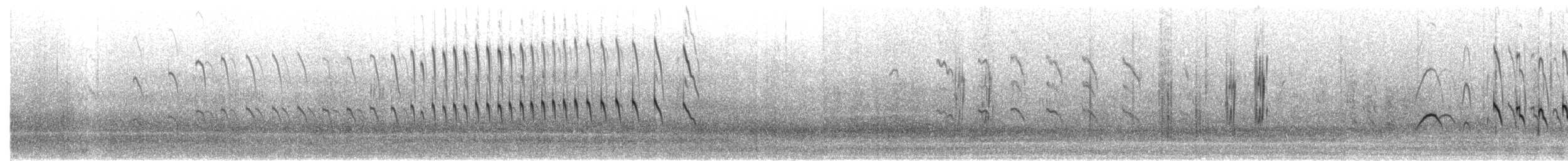 Alpine Swift - ML652866508