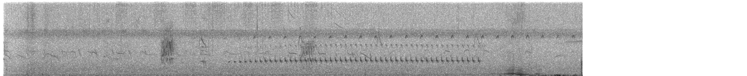 Cordon-noir à dos olive - ML652878088