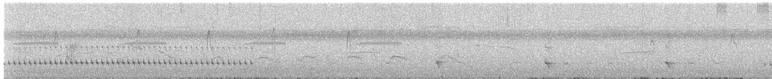 Cordon-noir à dos olive - ML652878091