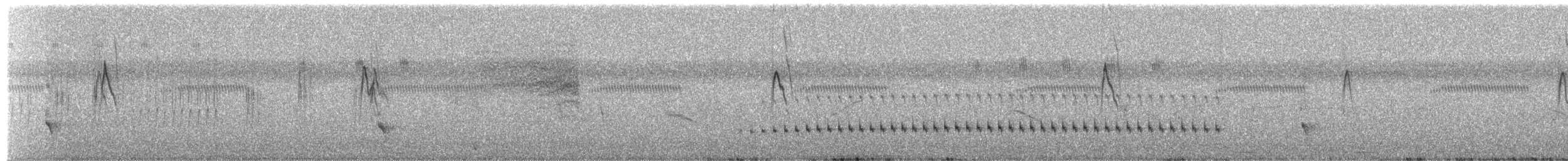 Cordon-noir à dos olive - ML652878093