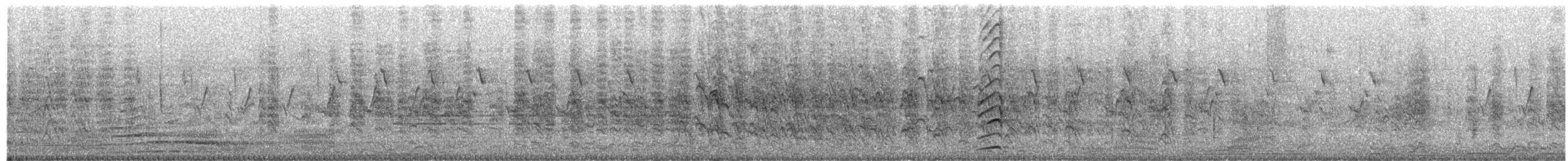 Turdoide Matorralero - ML652887340