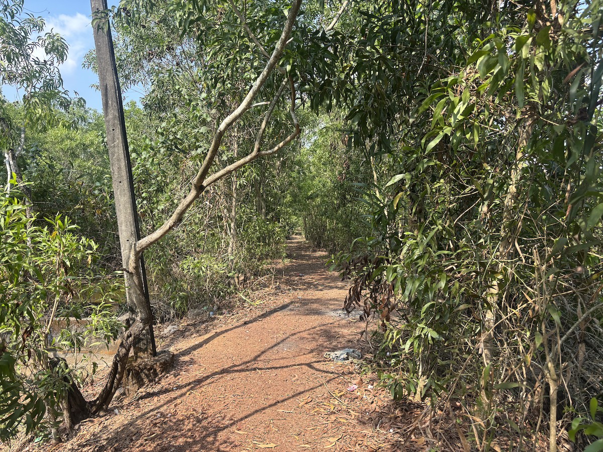 null - ML652896133