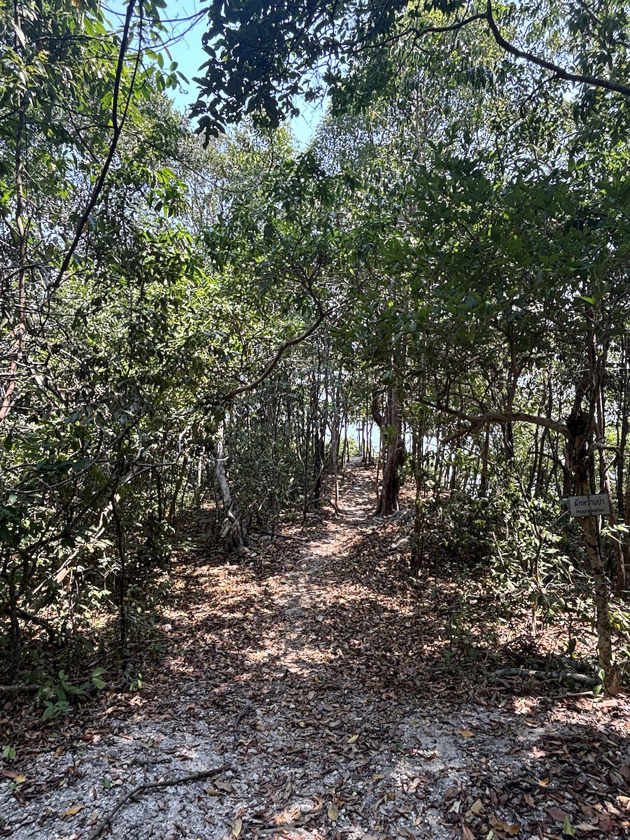 null - ML652896224