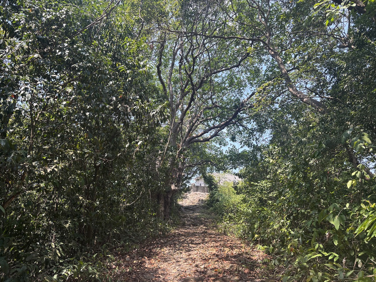 null - ML652896231