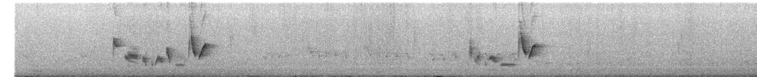 Thick-billed Vireo - ML652903051