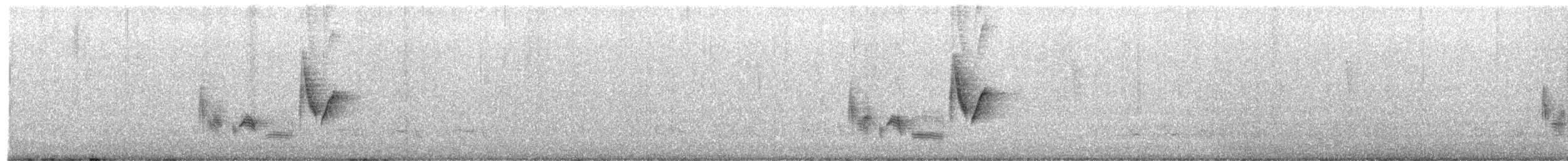 Thick-billed Vireo - ML652903052