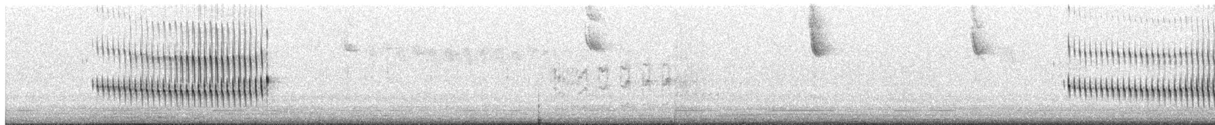 Dark-winged Canastero - ML652909842