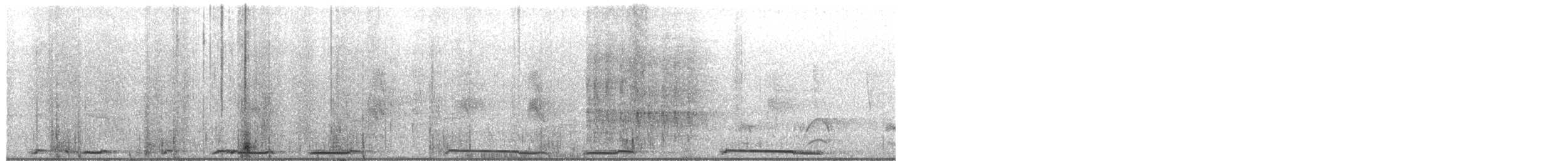 White-winged Dove - ML652910023