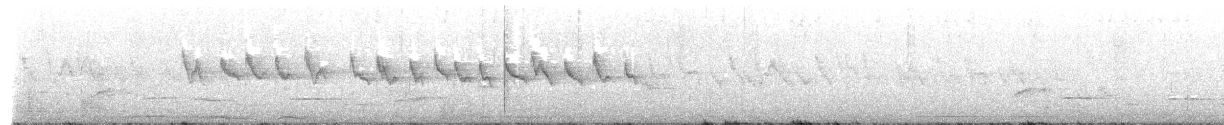 White-rumped Shama - ML652910395