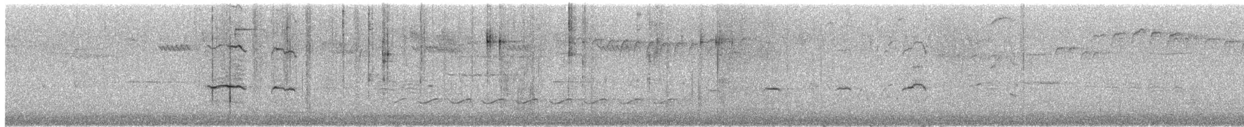 Каролинский поползень - ML652913361