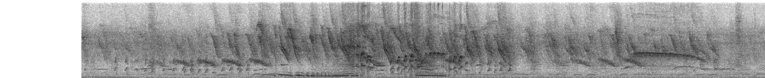 Чёрный погоныш - ML652916512