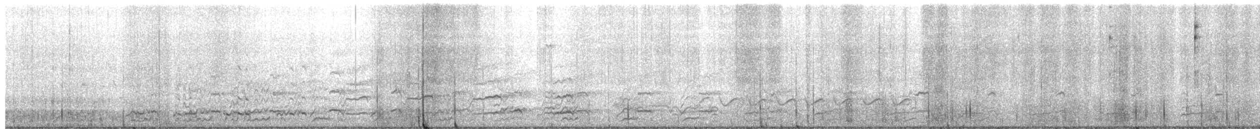 Anatra sposa - ML652925250