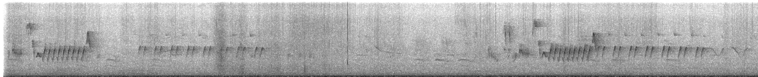 Northern House Wren - ML652925486