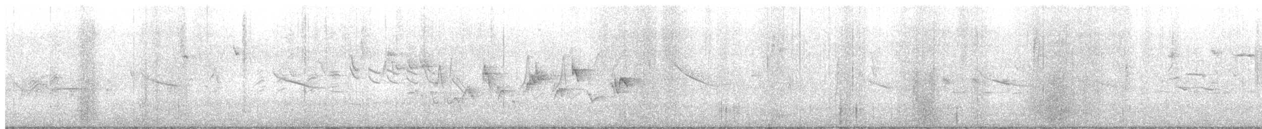 Western Warbling Vireo - ML652926030