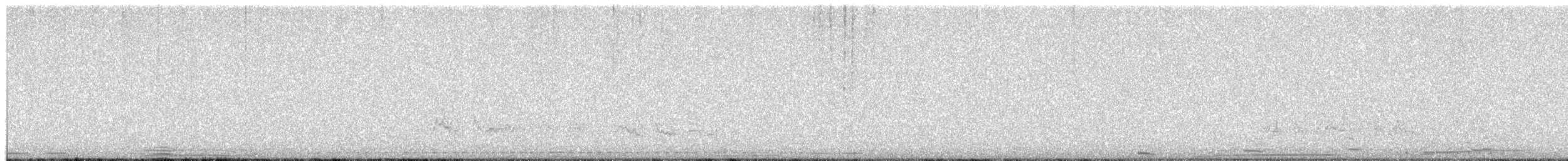 Zwergschwan - ML652950262