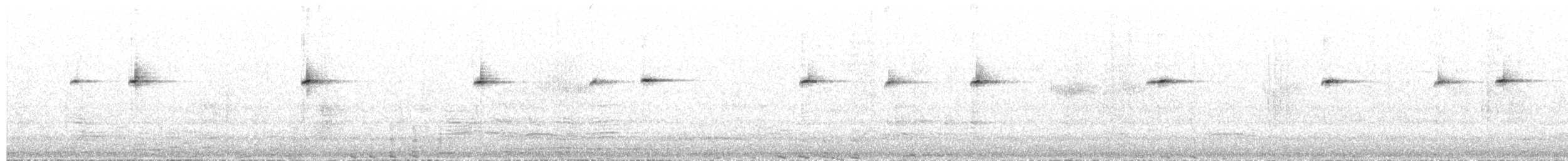 Silberhakenschnabel - ML652950319