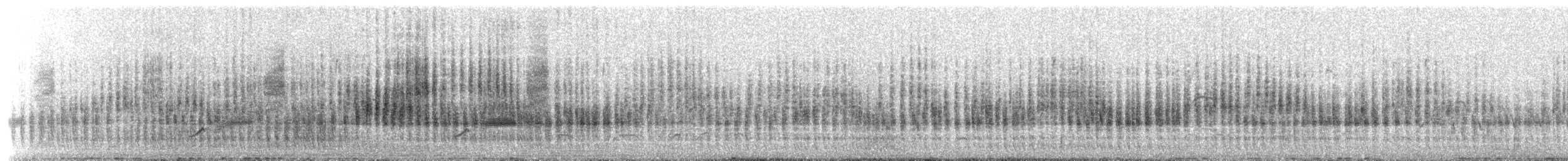 Apolinarzaunkönig - ML652950600