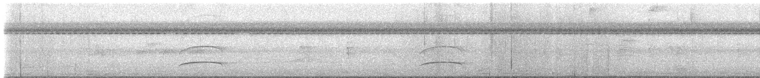 Schwarzkappen-Schopftyrann - ML652950757