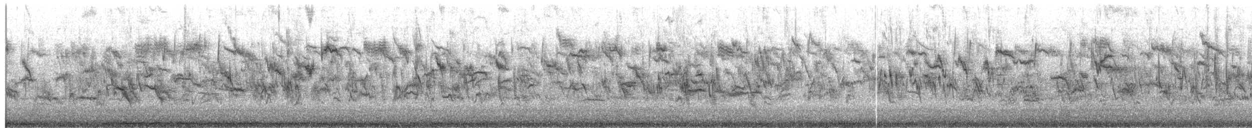 Zwergammer - ML652950877