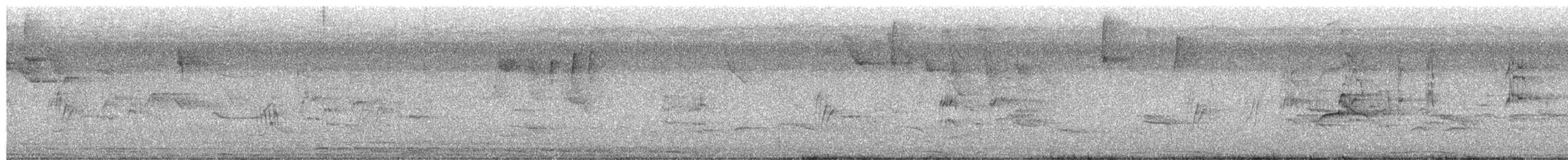 Tovisittich - ML652951005