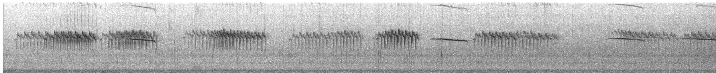 Seidenschwanz/Blutseidenschwanz - ML652951155