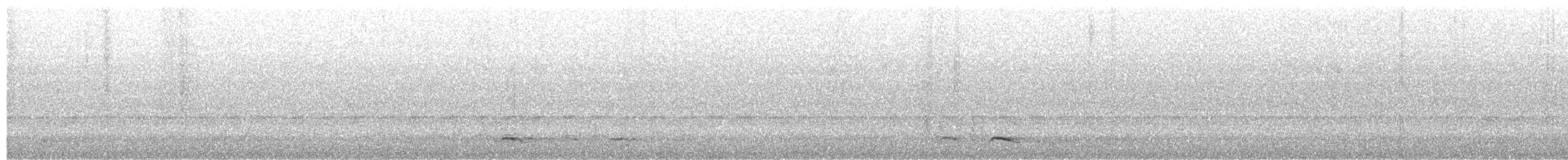 Rötelkehlhuscher - ML652951178