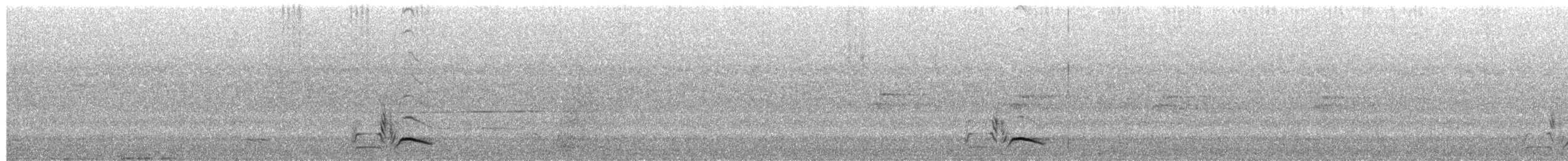 Rötelkehlhuscher - ML652951180