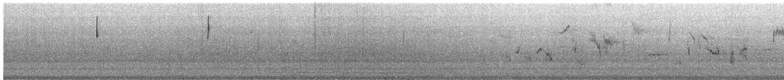 Zwergammer - ML652951354