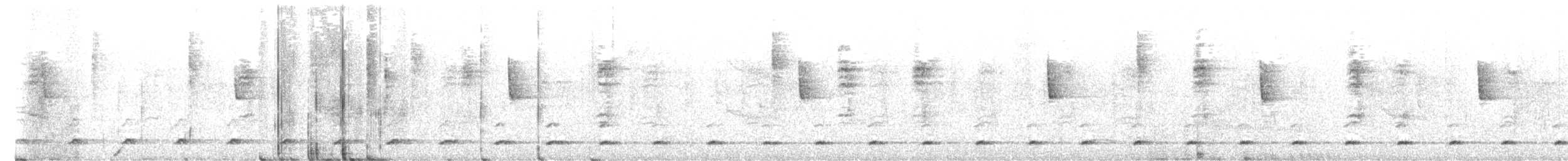 Brasilzwergkauz [brasilianum-Gruppe] - ML652953621