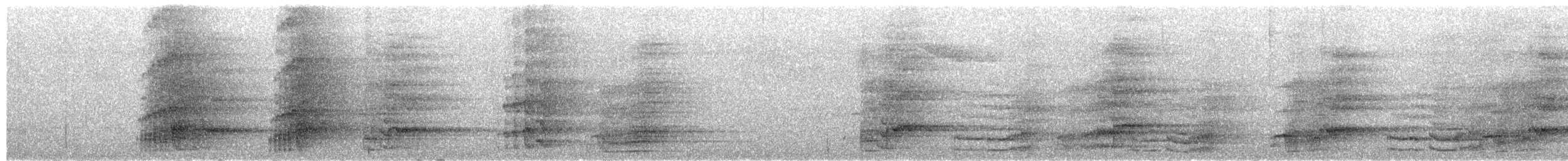 Blaukopfamazone - ML652960020