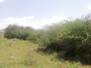 Mpala Ranch and Research Centre, Rift Valley, Kenya - eBird Hotspot