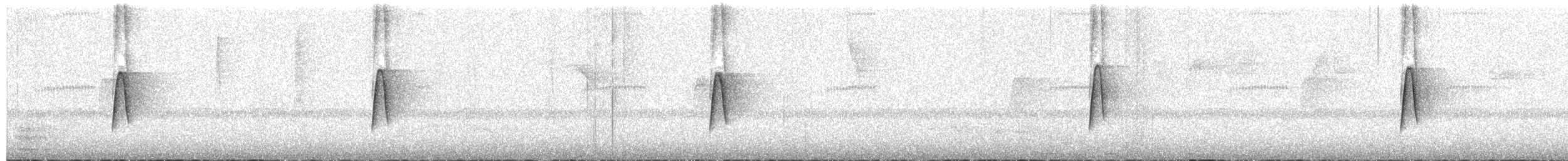 חטפית ירקרקה - ML652972599