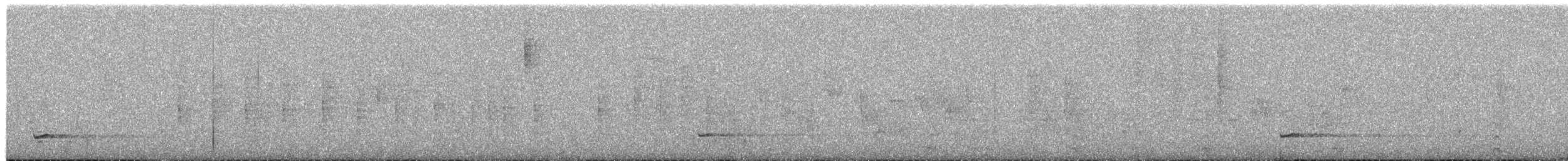 Moustached Turca - ML652976583