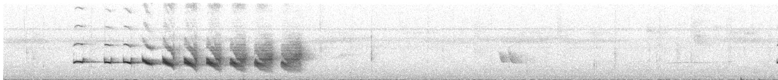 Imeri Warbling-Antbird - ML652989873