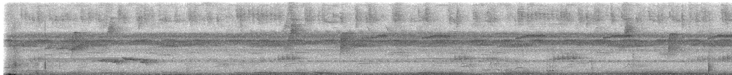 חטפית ירקרקה - ML653000033