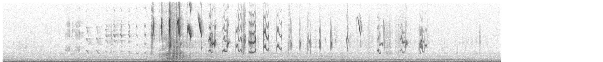 Chirigüe Culigualdo - ML653000149