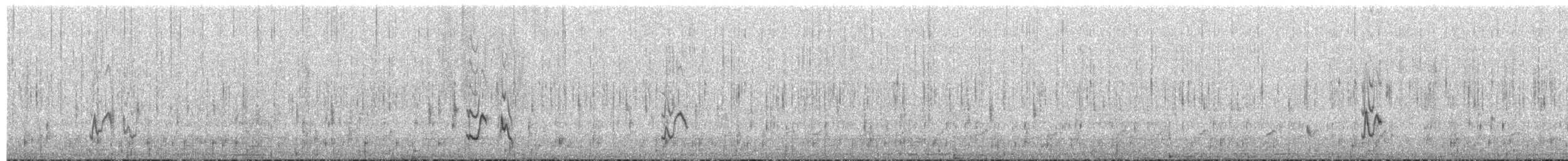 Chirigüe Culigualdo - ML653000150